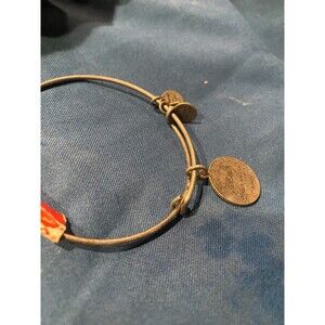 Alex and Ani Disney Frozen Anna Elsa Charm Bangle Bracelet Silver Tone